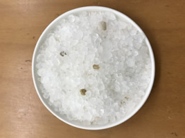 死海の塩クリスタル粒